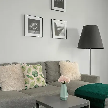 Bright With Balcony And Free Garage By Renters Apartment *